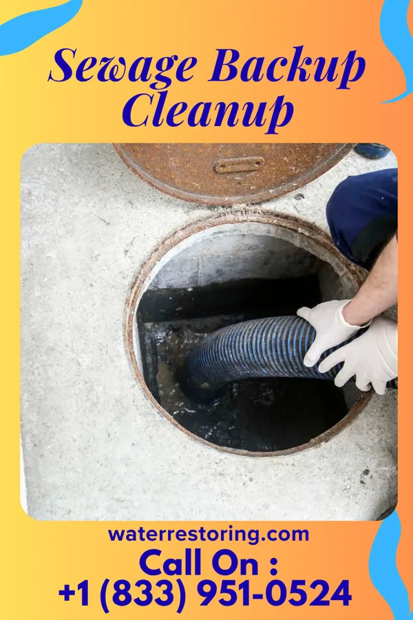 Sewage Backup Cleanup in Winona, MO