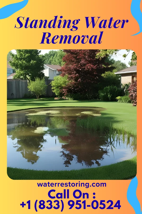 Standing Water Removal in Winona, MO